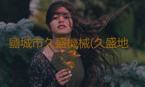 鹽城市久盛機械(久盛地板:歡迎登陸“綠色星球”,尋找神秘“第八洲”)